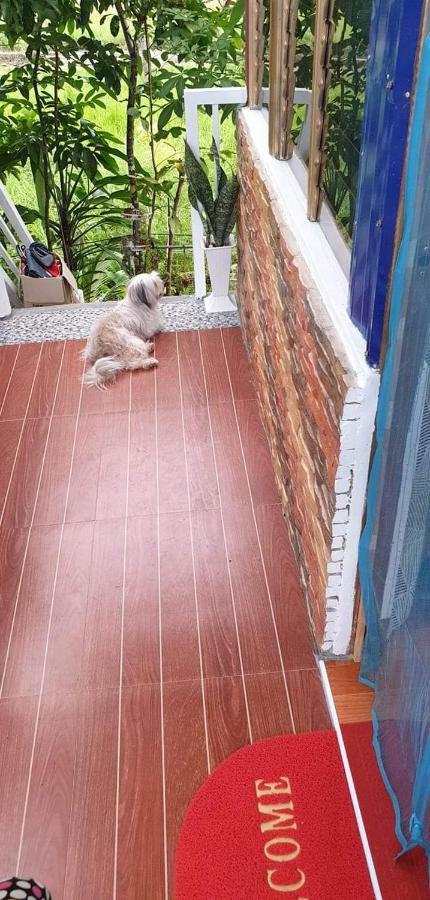 Cozy Tinyhouse Near Sm City Daet Exterior foto